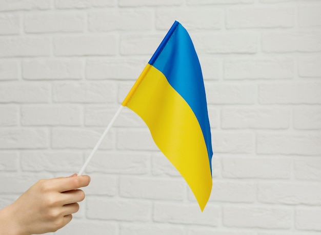 The flag of Ukraine in his hand on the background of a white wall