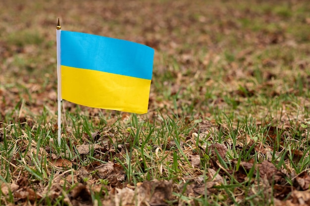 Flag of Ukraine in nature background freedom of Ukraine yellow blue flag