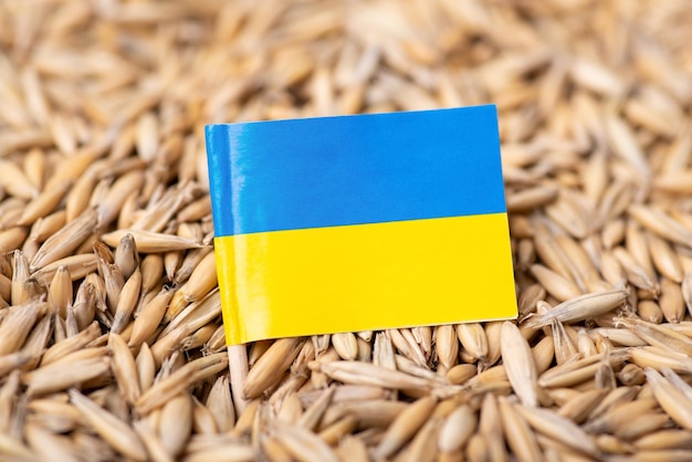 Flag of Ukraine on oat grain