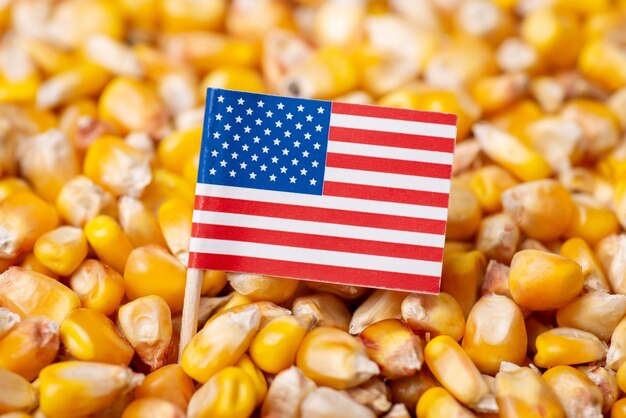 Flag of USA on corn grain