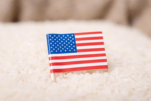 米の粒に米国の旗