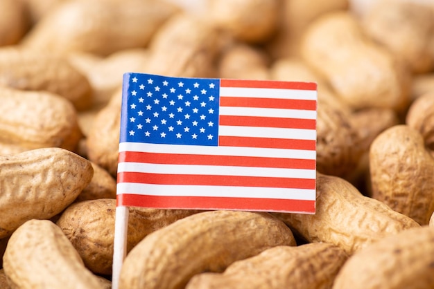 Flag of USA on peanuts in peel