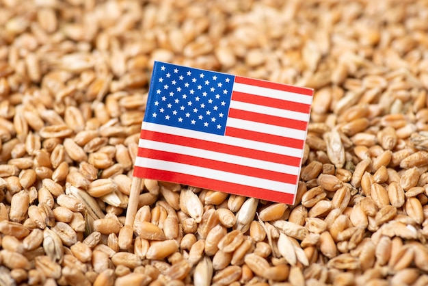 Flag of USA on wheat grain