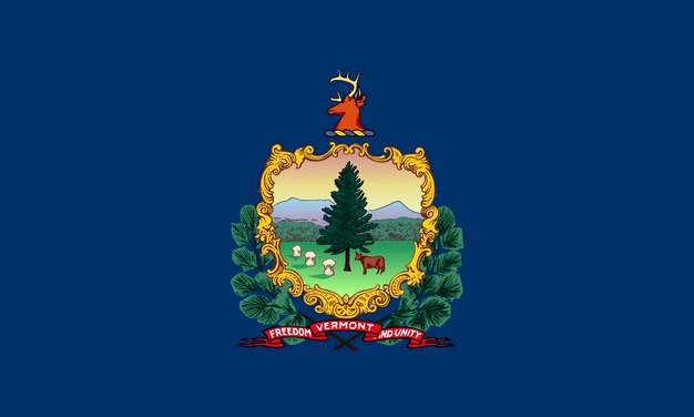 Photo flag of vermont usa