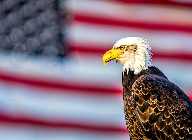 Flag with Eagle