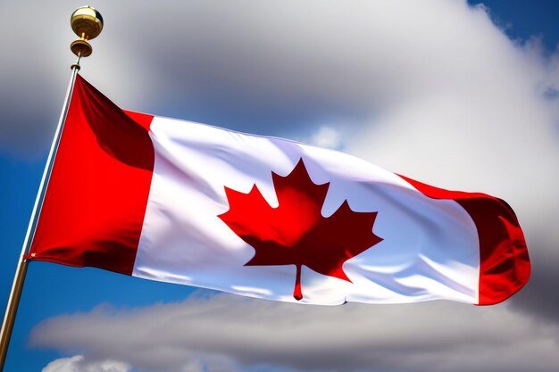 A flag with a maple leaf on it