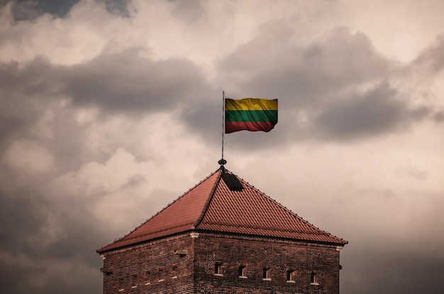 Флаг с оригинальными пропорциями Крупный план гранж-флага Литвы