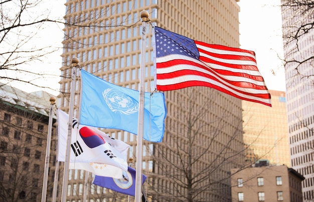 유엔기를 배경으로 한 깃발