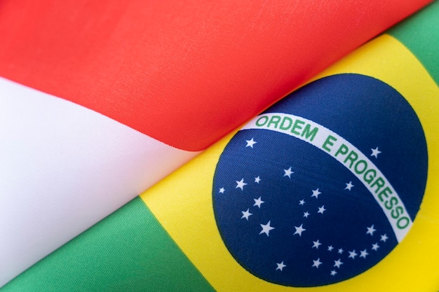 Флаги Бразилия и индонезия концепция международных отношений между странами Состояние правительств Дружба народов