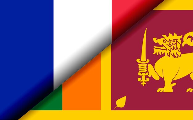 Photo flags of france and sri lanka divided diagonally