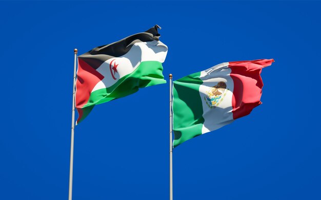 Flags of Sahrawi and Mexico. 3D artwork