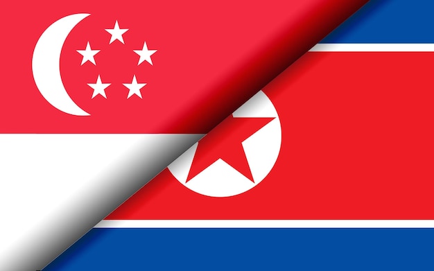 斜めに分割されたシンガポールと北朝鮮の国旗