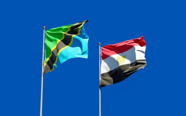 Flags of Tanzania and Egypt. 3D artwork