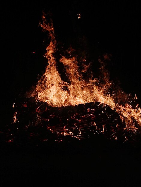 Photo flame of bonfire