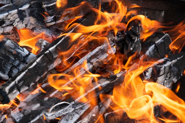 Foto primo piano della legna da ardere e carboni ardenti e ardenti