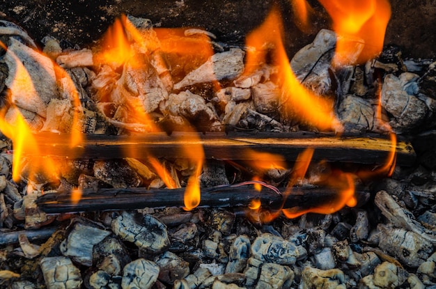 La fiamma del fuoco sulla legna ardente.