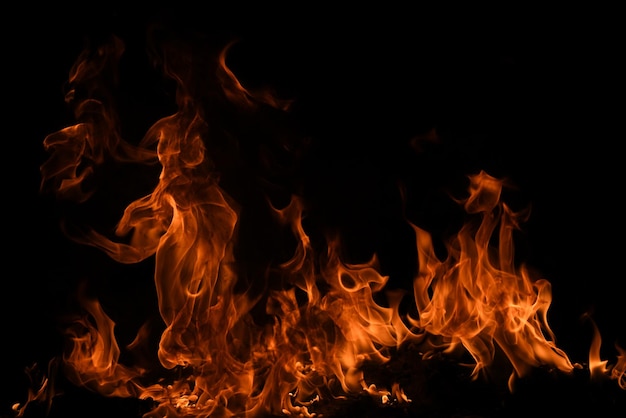 Flame fires burn lights on a black background fire flames on black background abstract fire flame ba