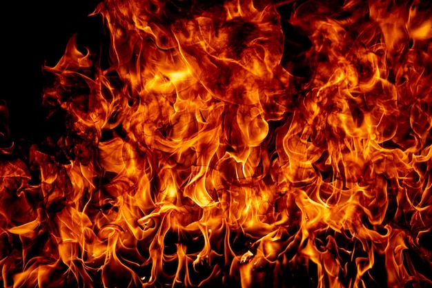 Flame fires burn lights on a black background fire flames on black background abstract fire flame ba