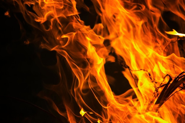 위험하고 뜨거운 배경을 컨셉으로 그래픽 디자인에 폭력적인 불꽃 패턴