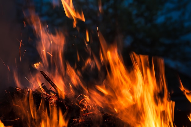 Flames of bonfire at night. Fire flames on a black background