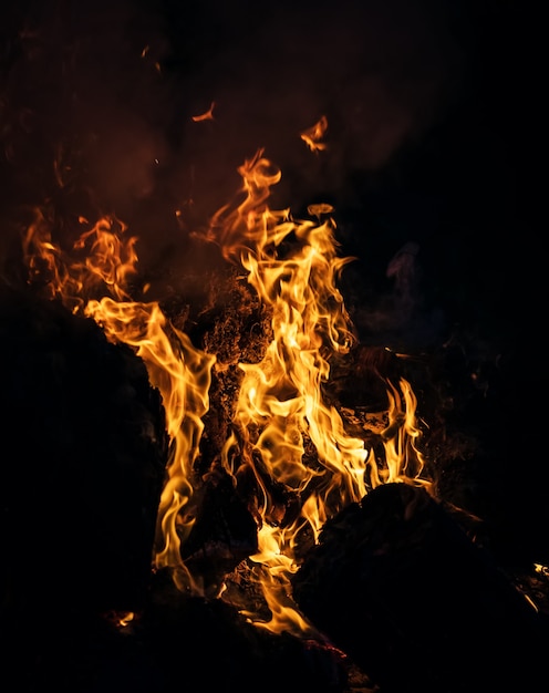 Flames of bonfire at night. Fire flames on a black background