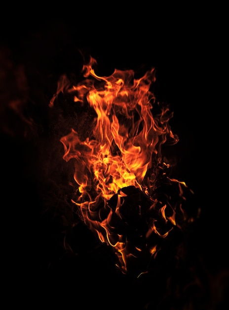 Flames of bonfire at night. Fire flames on a black background