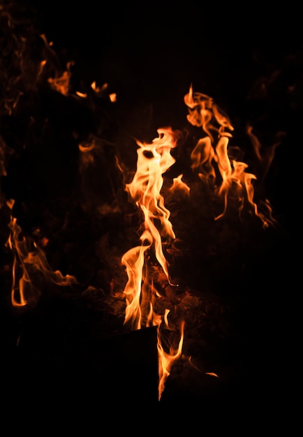 Flames of bonfire at night. Fire flames on a black background