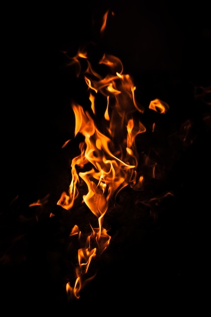 Flames of bonfire at night. Fire flames on a black background