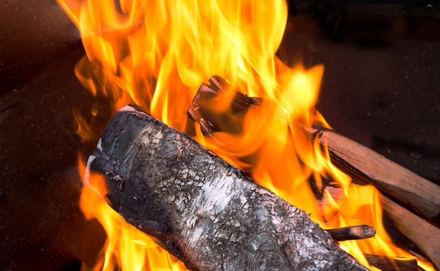 Flames over burning logs