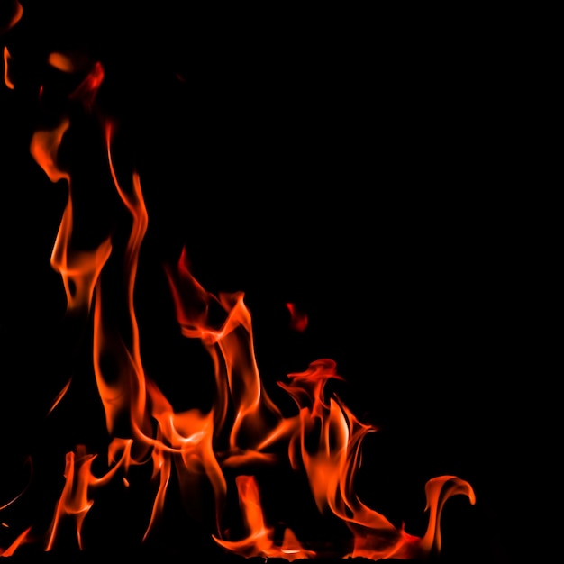 Flames of fire on a black background space for copy text your words with a x square proportion