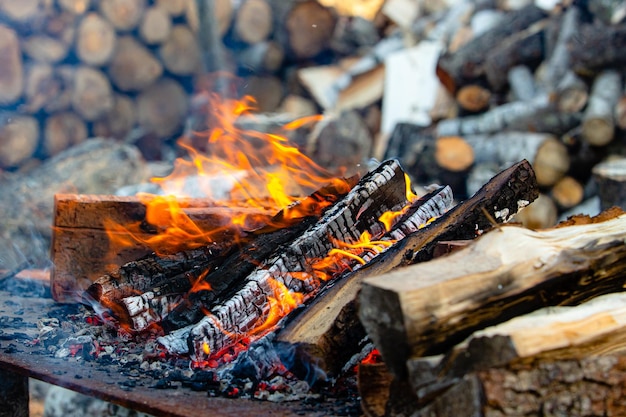 Flames of fire close up Campfire in nature A blurred chocks background