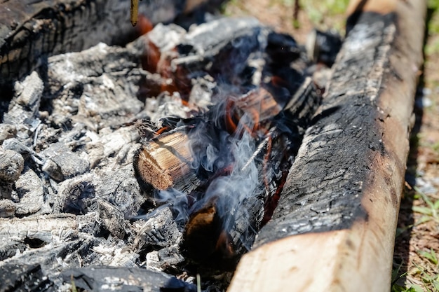 Пламя огня в дровяной печи эвкалипта