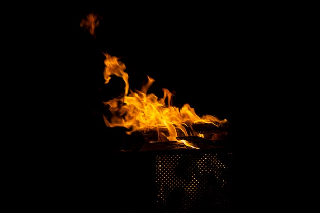 Flames of wood burning in the fireplace