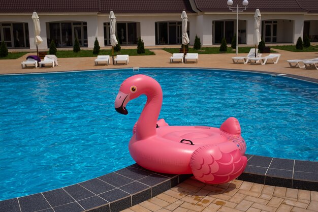 Flamingo pool float in blue water background, inflatable swim tube