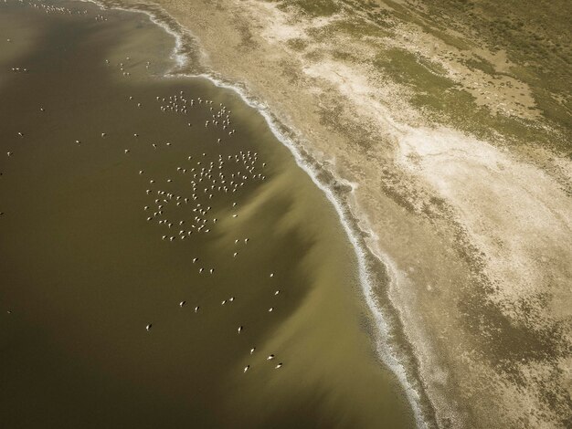 Flamingo's komen samen in Pampas Saline Luchtfoto La Pampa Provincie Patagonië Argentinië