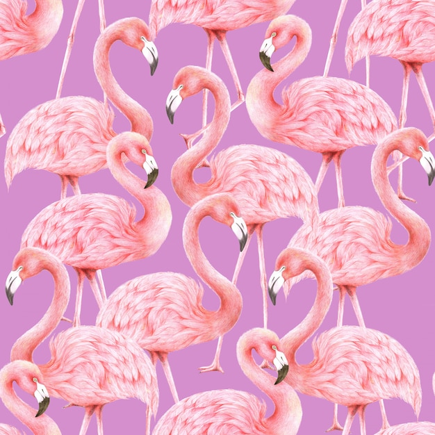 Flamingos seamless pattern on purple background