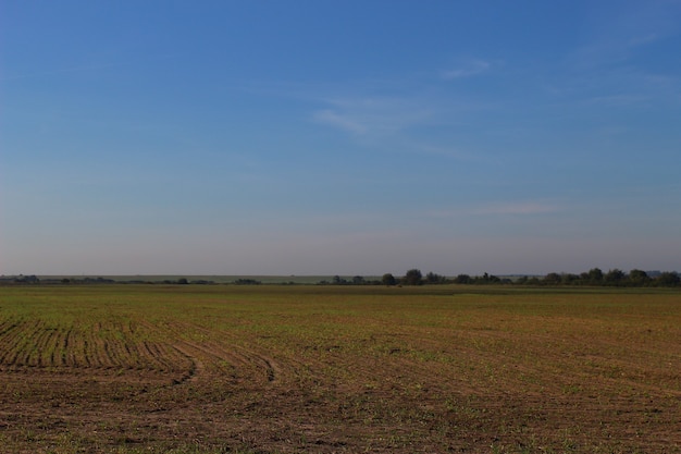 Premium Photo | Flat countryside landscape