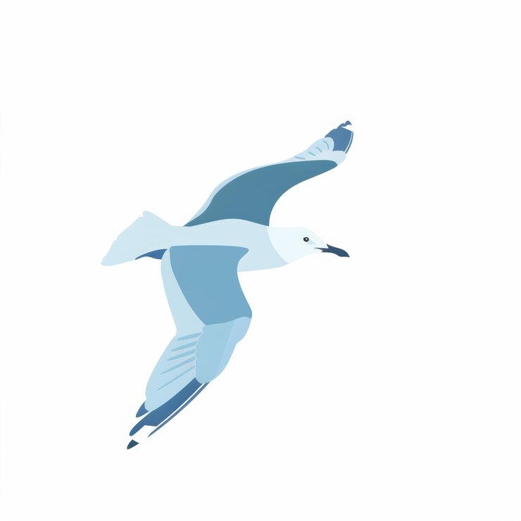 Photo flat illustration of seagull in white background for summer themes