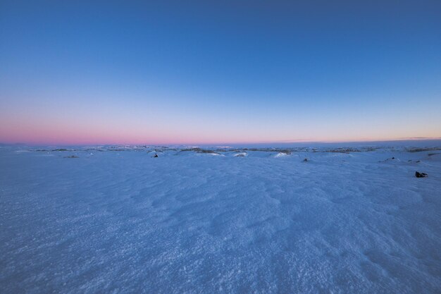 Flat landscape to the horizon covered in snow and illuminated by the purple Icelandic sunrise light