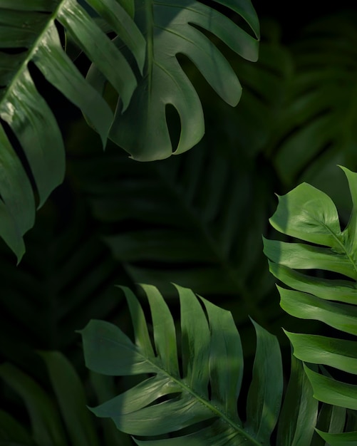 Flat lay 3d green palm leaves composition