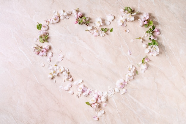 Photo flat lay apple blooming