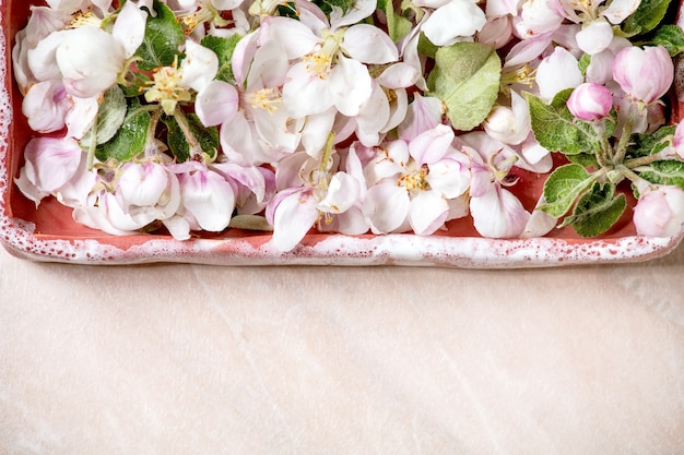 Flat lay apple blooming