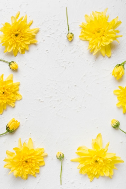 Photo flat lay of arrangement of spring daisies