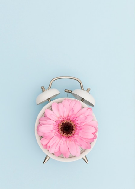 Flat lay arrangement with pink daisy and clock