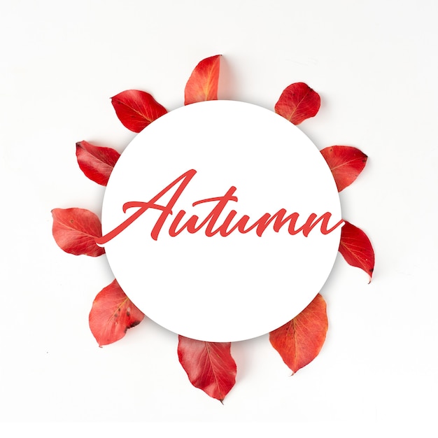 Banner autunnale piatto su bianco. composizione con foglie rosse realistiche. ciao ottobre concept