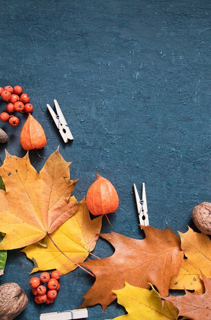 Flat lay autumn orange leaves and physalis on a dark background