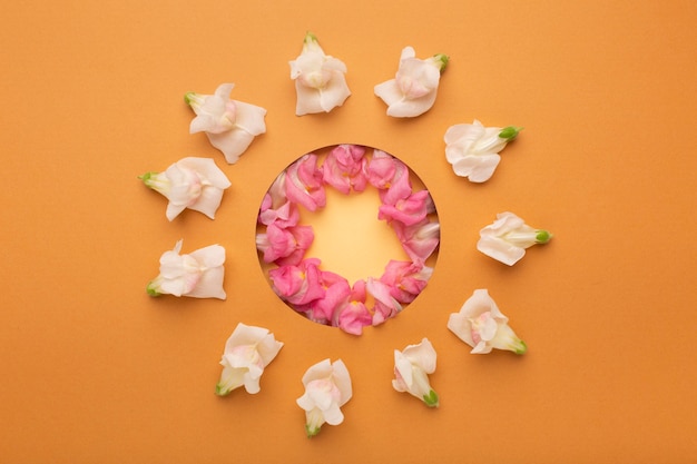 Foto bella disposizione piatta di fiori