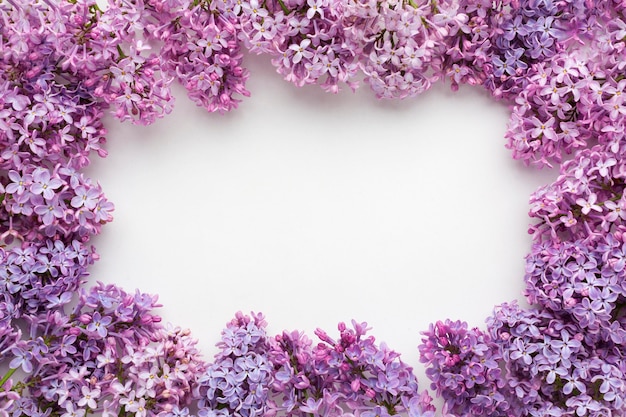 Photo flat lay of beautiful lilac frame concept