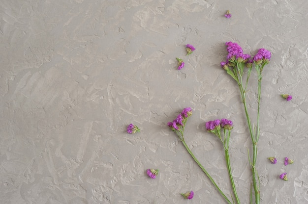 Photo flat lay of beautiful spring purple flowers on grunge wall background