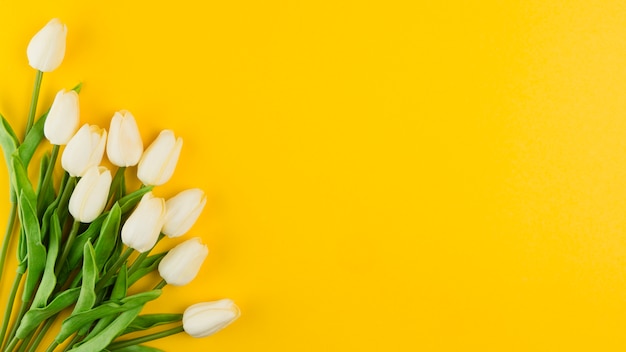 Photo flat lay of beautiful tulips for baby shower